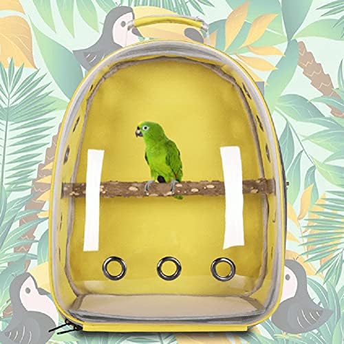 Parakeet Bird Cage, Wire Birdcage Hanging Bird House with Bird Feeder  Waterer and Stand, Bird House Accessories for Budgie Parakeets Finches  Canaries Lovebirds Small Parrots Cockatiels